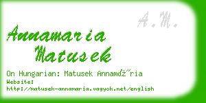 annamaria matusek business card